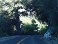 2014 Mt Baldy Cali 018